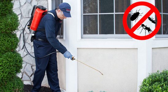 Sinop Fare İlaçlama böcek ilaçlama ve haşere kontrolü — ilaclama-tr.com